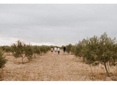 La biodiversité au service de nos vignes
