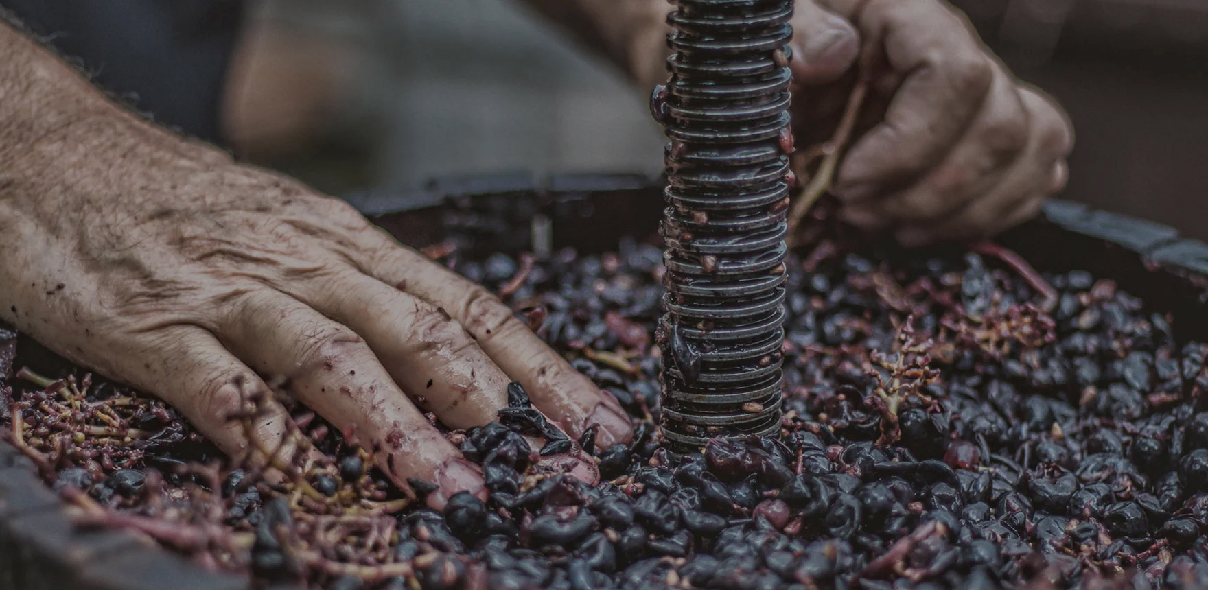 Travail dans les vignes